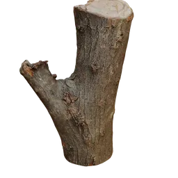 Detailed 3D tree trunk asset with textures for Blender rendering and nature simulation