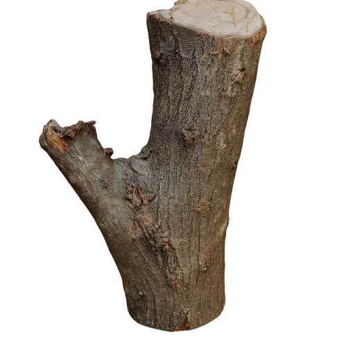 Detailed 3D tree trunk asset with textures for Blender rendering and nature simulation