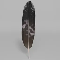 Realistic golden eagle feather 3D model with procedural texture, ideal for Blender rendering projects.