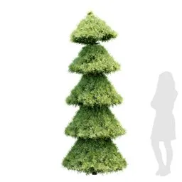 Garden Bushe - Spiral Italian