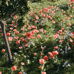 Spring Meadow Flowers Patch