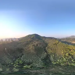 Highsky green forest sunshine