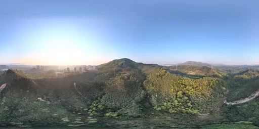 Highsky green forest sunshine