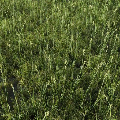 Realistic 3D model of tall, green grass for Blender, game-ready with surface modifier application shown.