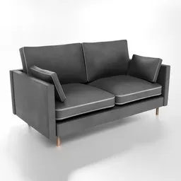 Modern 2-Seater Sofa