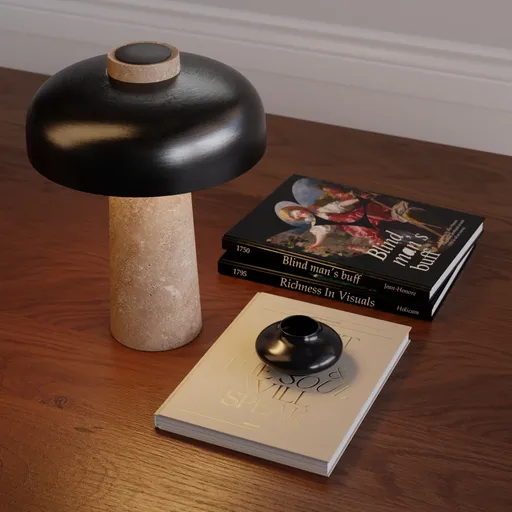 Travetine Lamp With Books