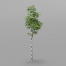 Low Poly Pixel Styled Birch Tree