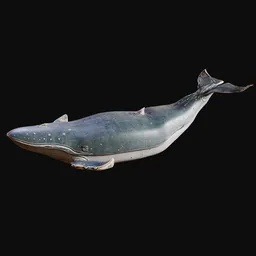 Wooden Whale Decorative Statue
