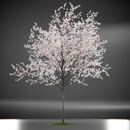Tree Amelanchier Animated