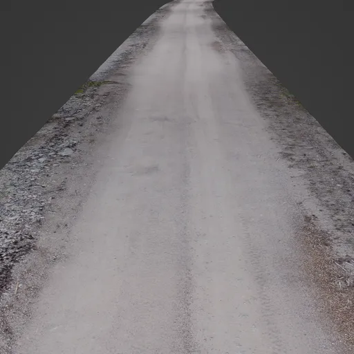 Dirt Road along Curve