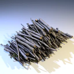 Wooden Tree Pile photoscan