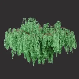 Wild Green Bush