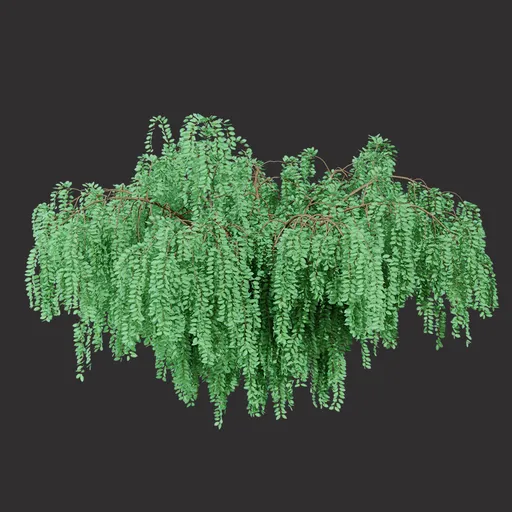 Wild Green Bush