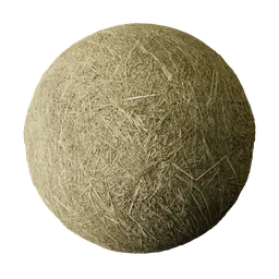 Golden Straw Covered Ground