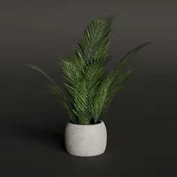 Detailed 3D model of a potted indoor house plant with textured leaves for Blender rendering.