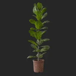 Indoor Plant Kit.012
