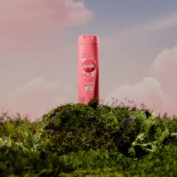 Product Visualization