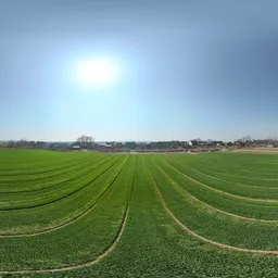 Farmland
