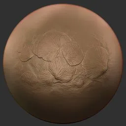 ER Fossil Brush-Scallop