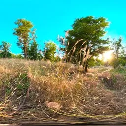 Highland Grassland Warm Sun HDRI