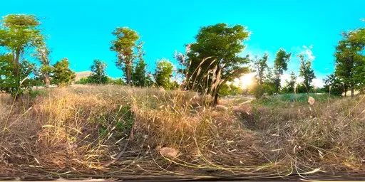 Highland Grassland Warm Sun HDRI