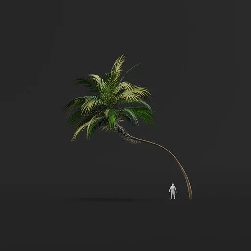 Palm Tree (Spring) - Tall Thin Curved