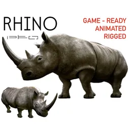 Rhino Animal