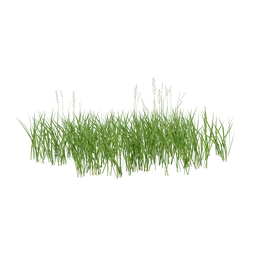 Highly detailed 3D grass patch, excellent for Blender ecosystem modeling, with realistic textures and natural variation.