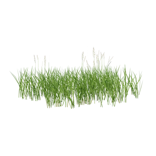 Highly detailed 3D grass patch, excellent for Blender ecosystem modeling, with realistic textures and natural variation.