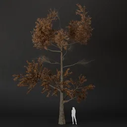 SJ-Frost Bite Tree