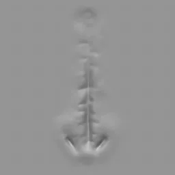 ER_Muscle brush 79 creating detailed male spine model in 3D sculpting tool, ideal for anatomical Blender projects.