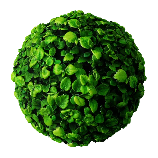 Leaves Green