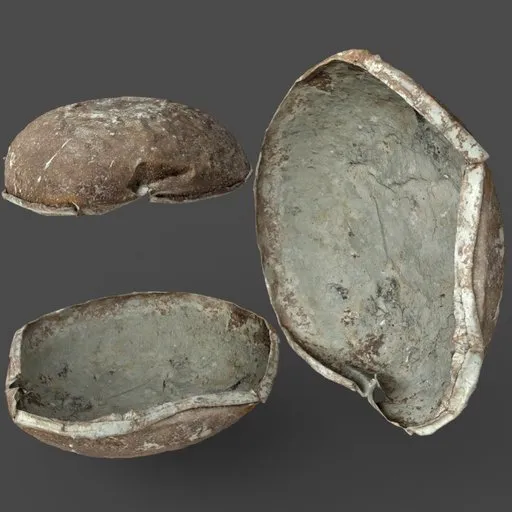 Metal Bowl