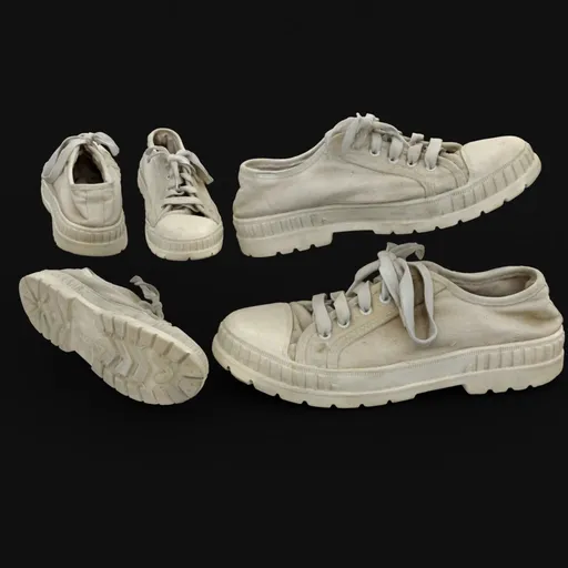 Worn Canvas Sneakers
