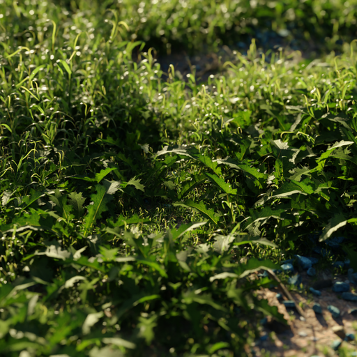 Thumbnail: Spear Thistle