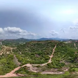 Highsku building forest