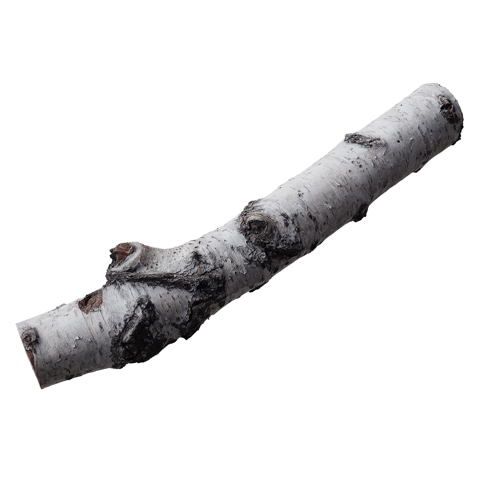 Birch firewood scan photogrammetry | FREE Trees models | BlenderKit