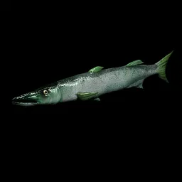 Animated mediterranean fish, espeton