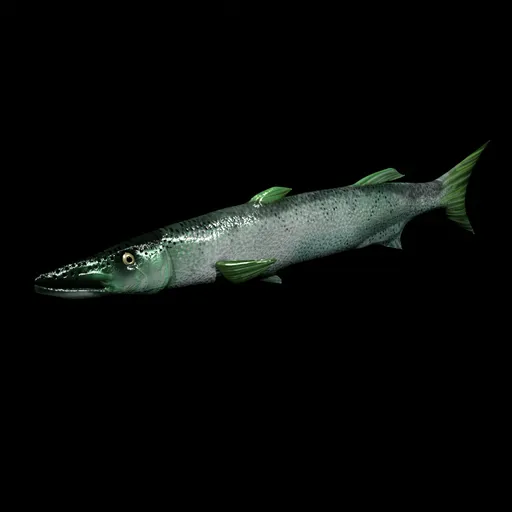 Animated mediterranean fish, espeton