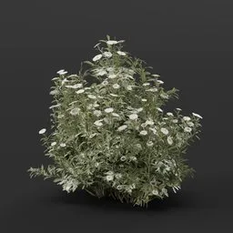 High-quality 3D aster flower model, suitable for Blender, customizable for games and diverse 3D environments.