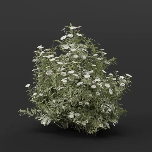 High-quality 3D aster flower model, suitable for Blender, customizable for games and diverse 3D environments.