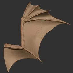Tall Crest Dragon Wing