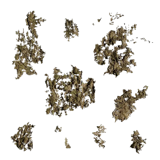 Hippophae rhamnoides Moss