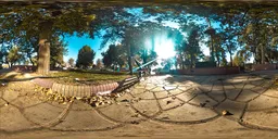 Tree Park Midday Light