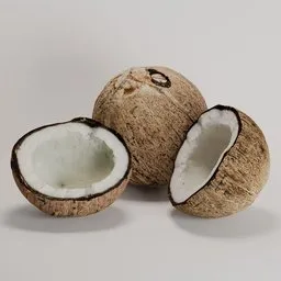 Realistic dried coconut