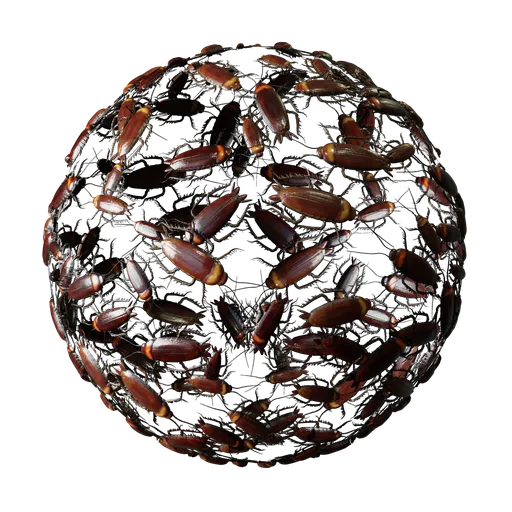 Cockroaches Swarm