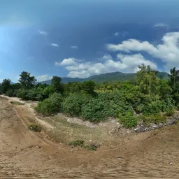 Green tree mountain cloud bluesky