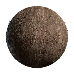 Chamaecyparis pisifera Bark