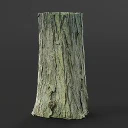 High-detail photoscanned Blender 3D tree trunk model with realistic textures.