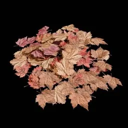 Realistic Autumn Leaf Ground Scatter